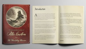 Launch event A5 booklet