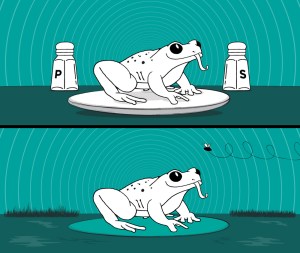 Chatter blog - 'Eat the frog'